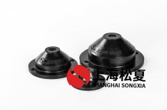 智能增压泵可以用JSD-210橡胶式减震器吗?